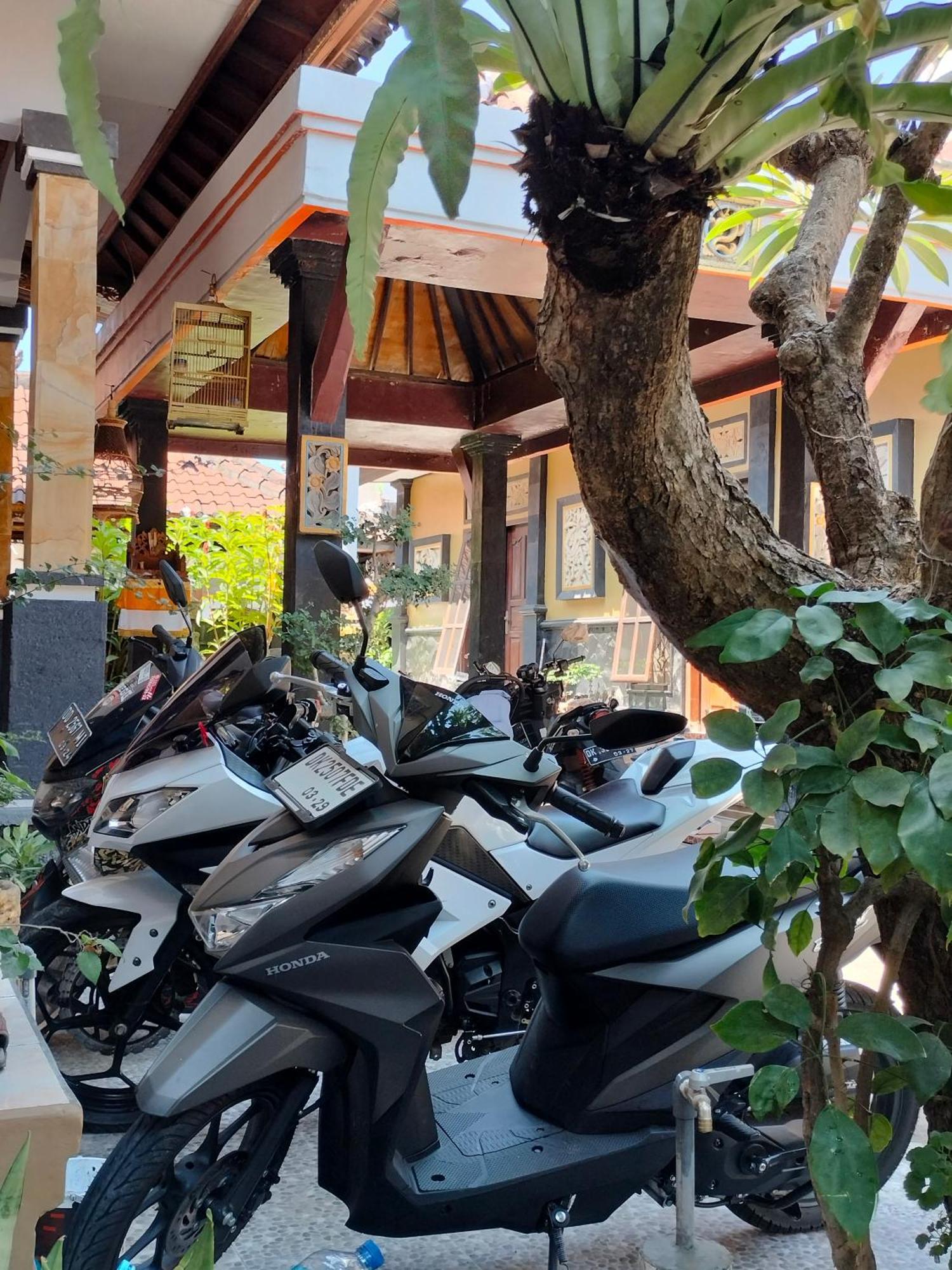 Tirtasuci House * Kuta (Bali)